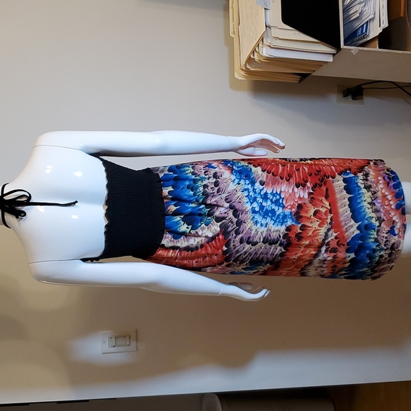 Chances R Tube Top Dress - Picture 5 of 7